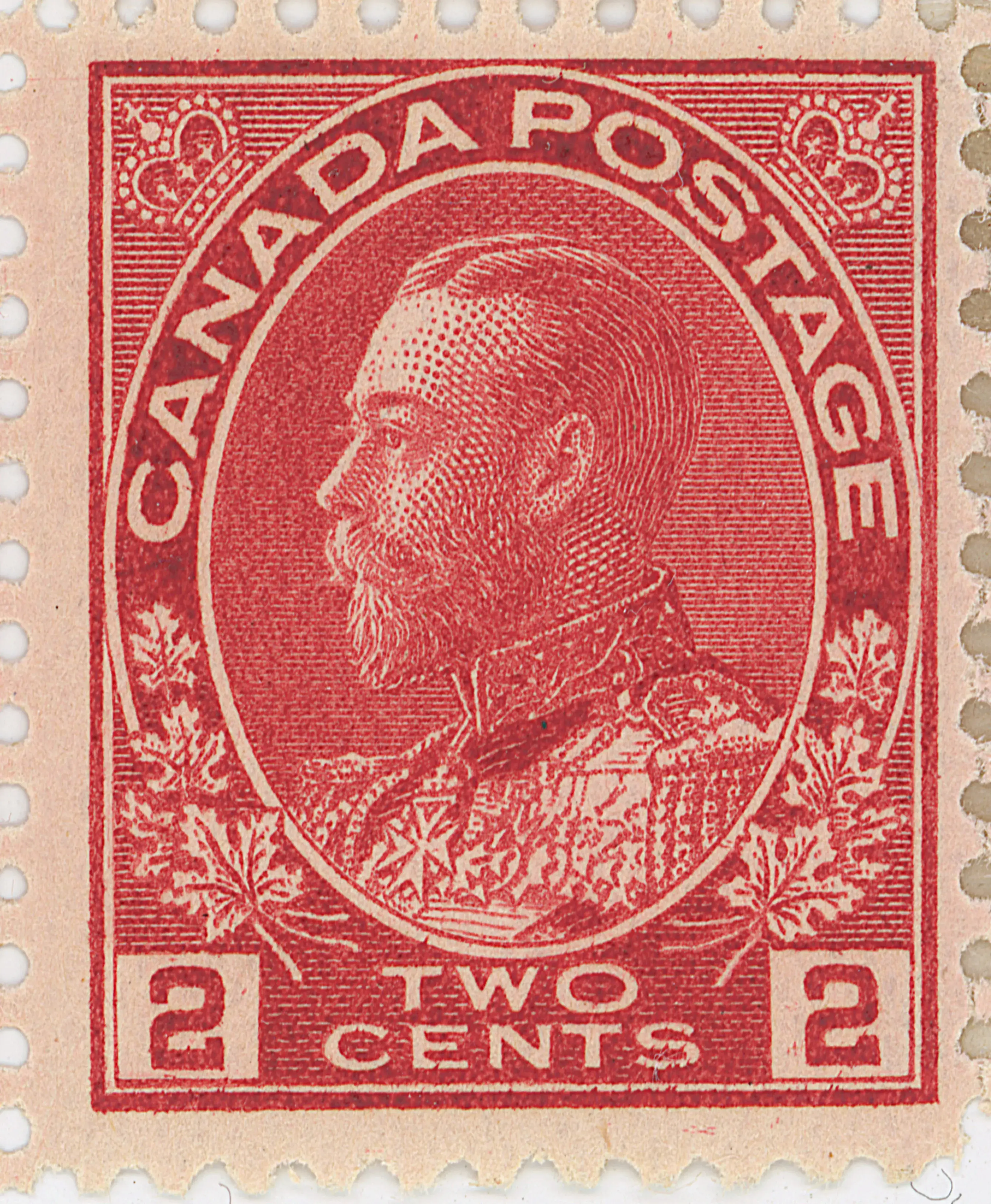 2¢C 8UR5 d.webp